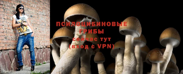 герыч Алексин
